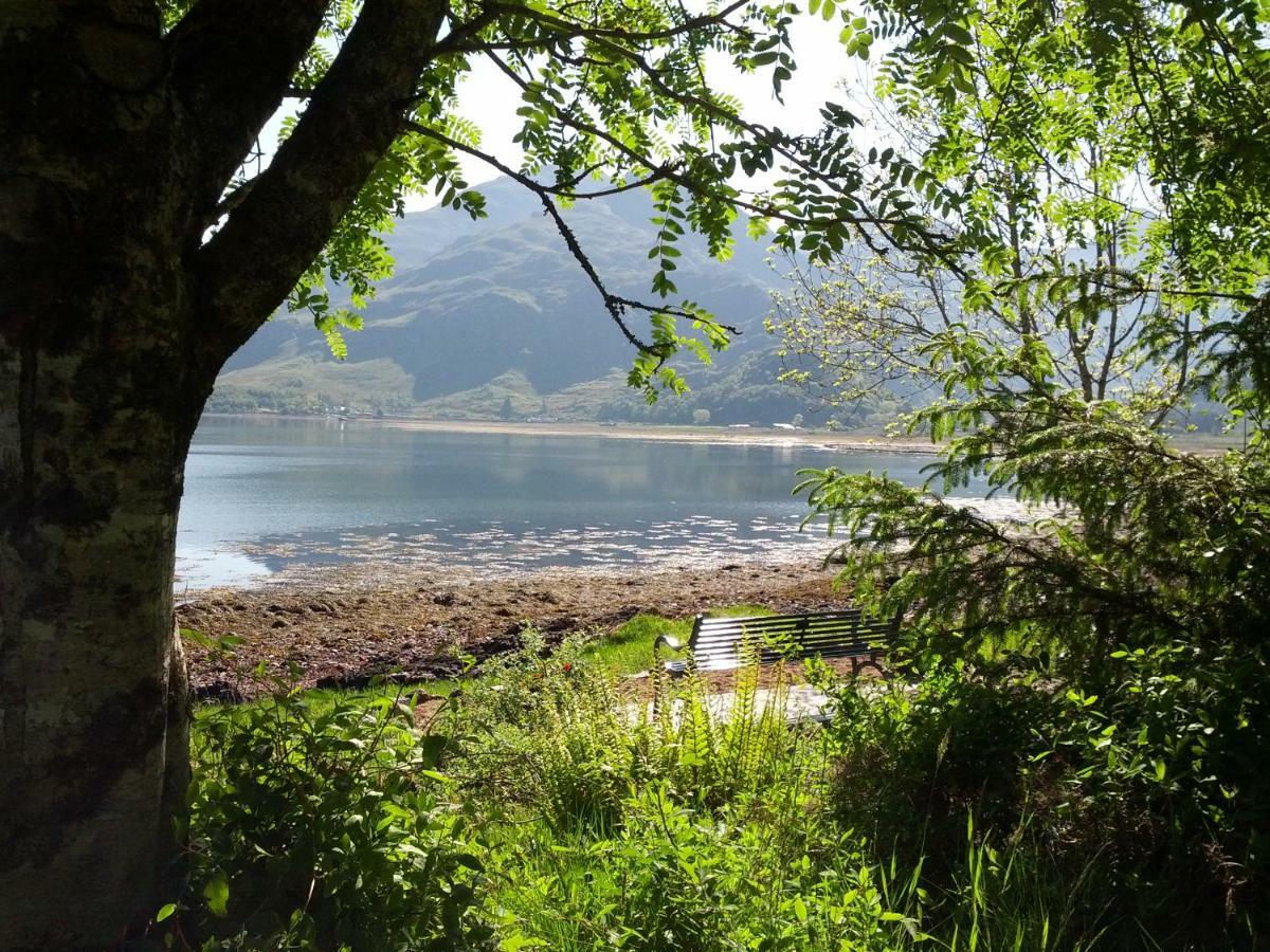 Toads Croak Bed & Breakfast Inverness Bagian luar foto